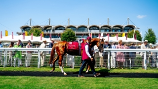 Group 1 heavyweights among early entries for Qatar Goodwood Festival wanting to take over from the retired Kyprios Ph. by Jayson Fong.jpg