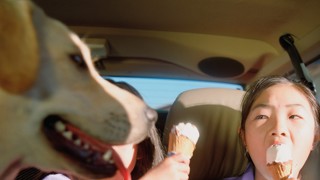 Le Shuttle image.jpg