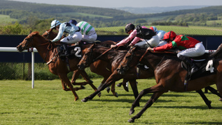 Season Opener marks highly anticipated return of racing to Goodwood Ph by. Sam Stephenson.JPG