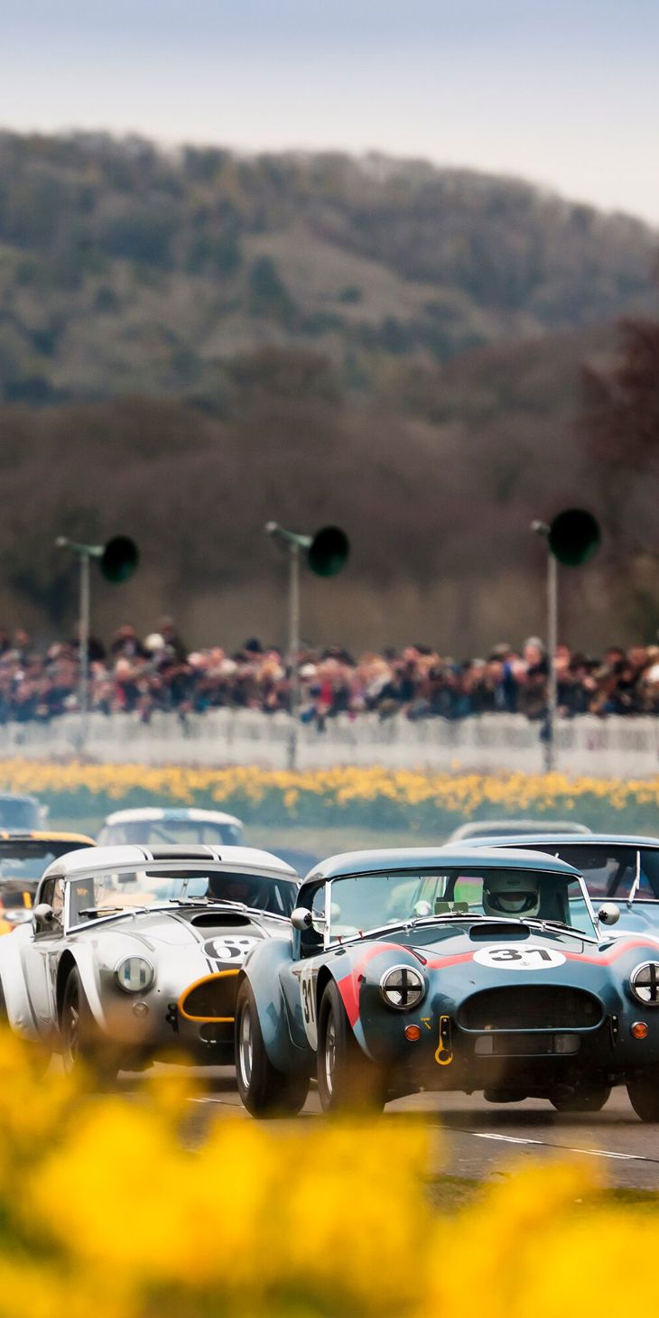 2016 Goodwood Members Meeting..74th Members Meeting ..19th - 20th March 2016...Graham Hill trophy..Photo: Drew Gibson.