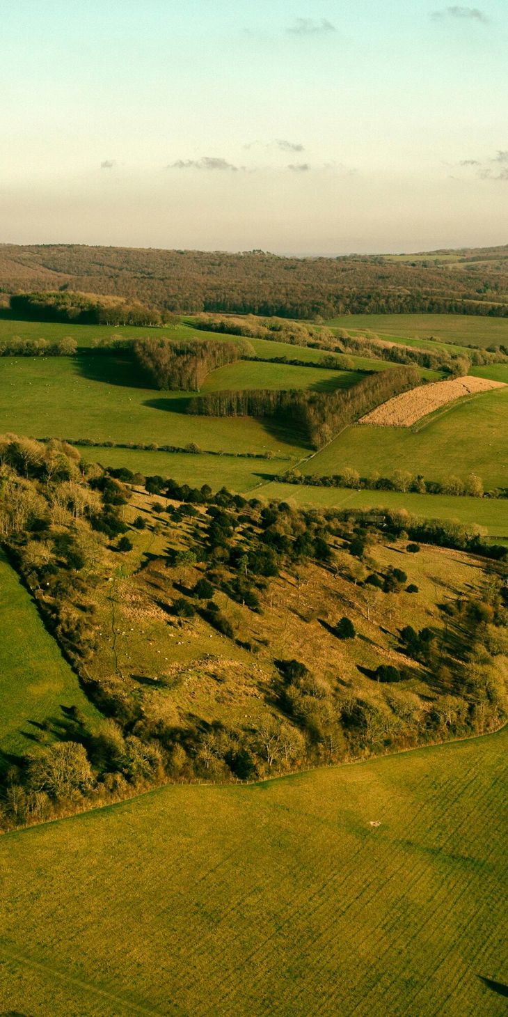 GOODWOOD ESTATE PROJECT..STARTED IN 2019, COMMISSIONED BY DR