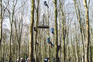Website-TreeClimbing_JohnathanSwann_2024_080324_0343.jpg